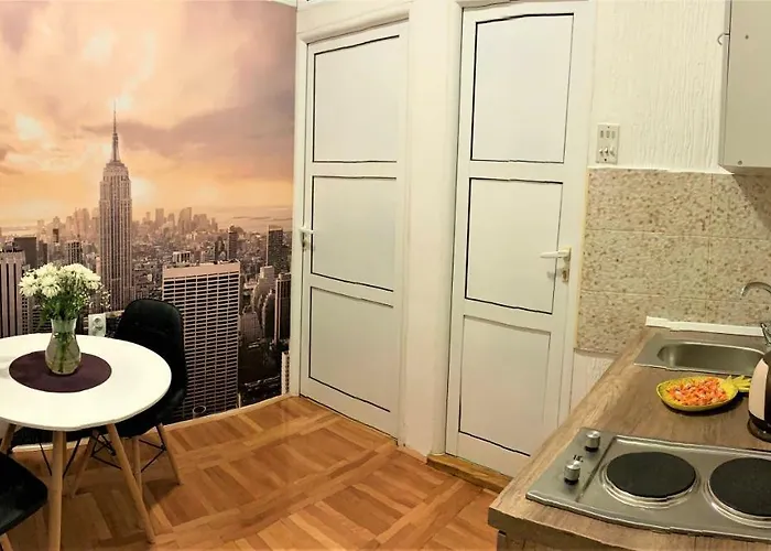 Cicki Ii * 波德戈里察