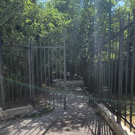 Cicki Ii Apartament